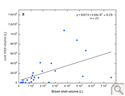 Brown shell volume (L) versus live shell volume (L) in Mobjack Bay (region E).