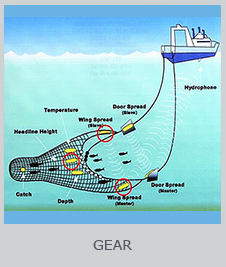 ChesMMAP Gear