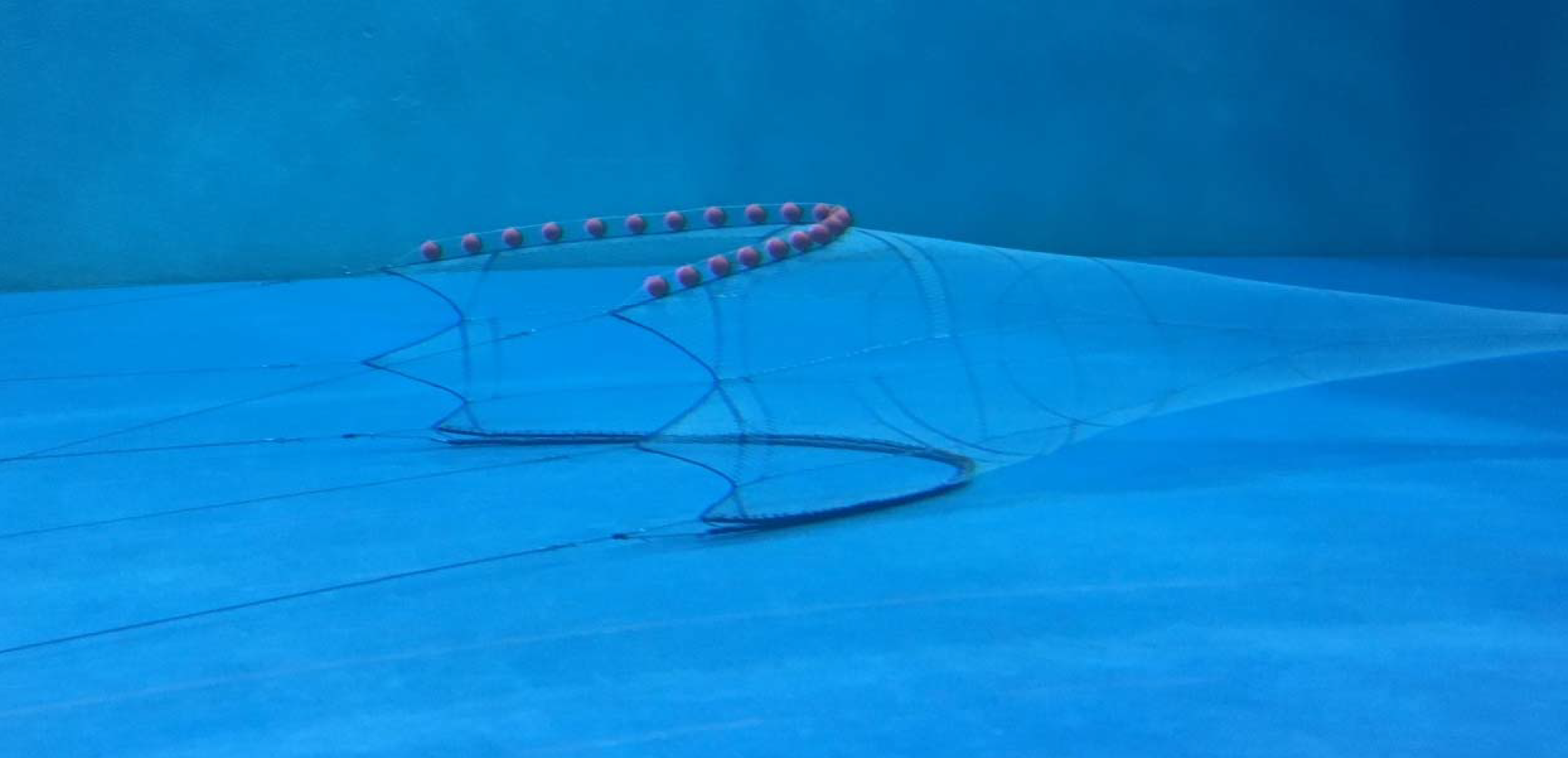 ChesMMAP Net in the flume tank at Memorial University, St. Johns, Newfoundland