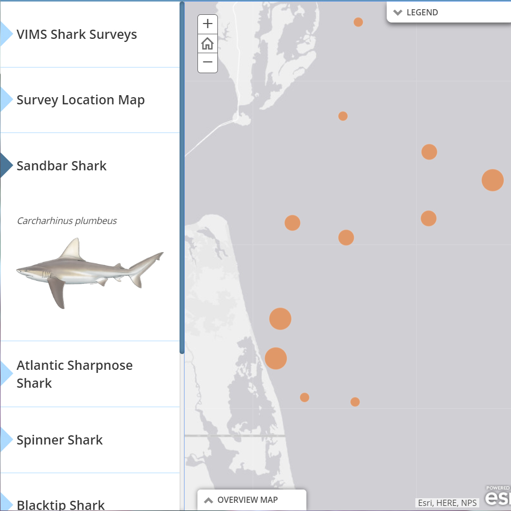 Shark Map