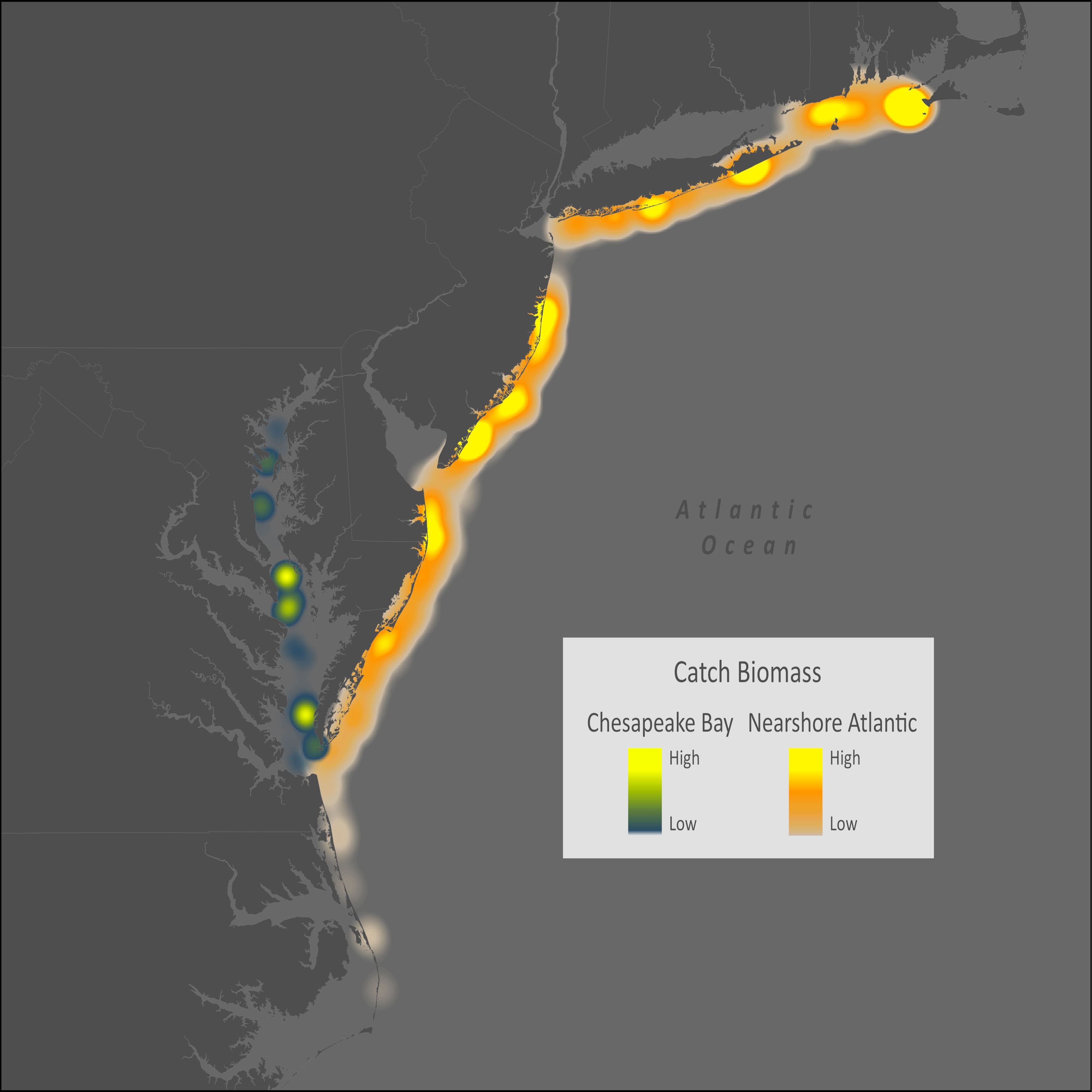 American Shad Distribution