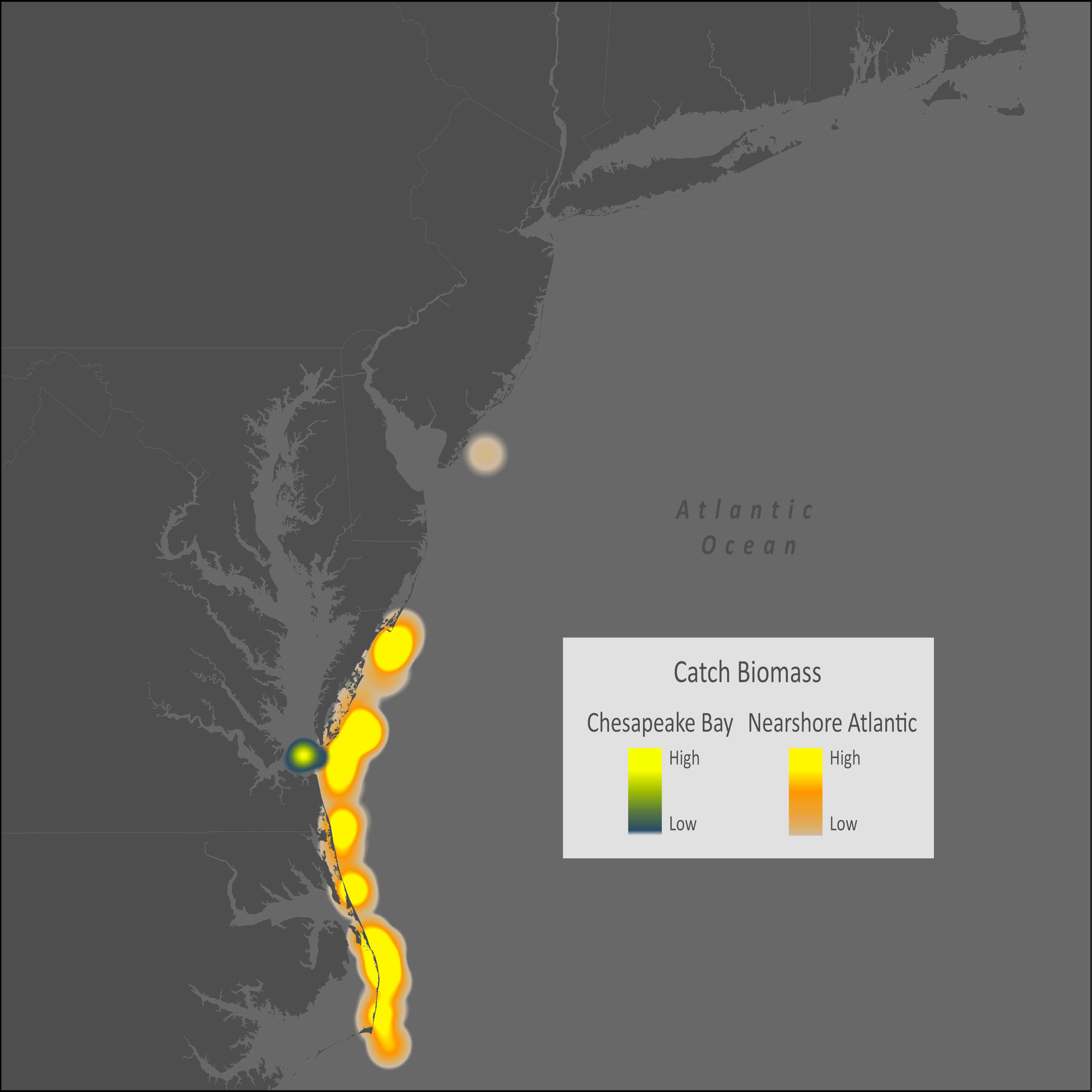 Atlantic Sharpnose Shark Distribution