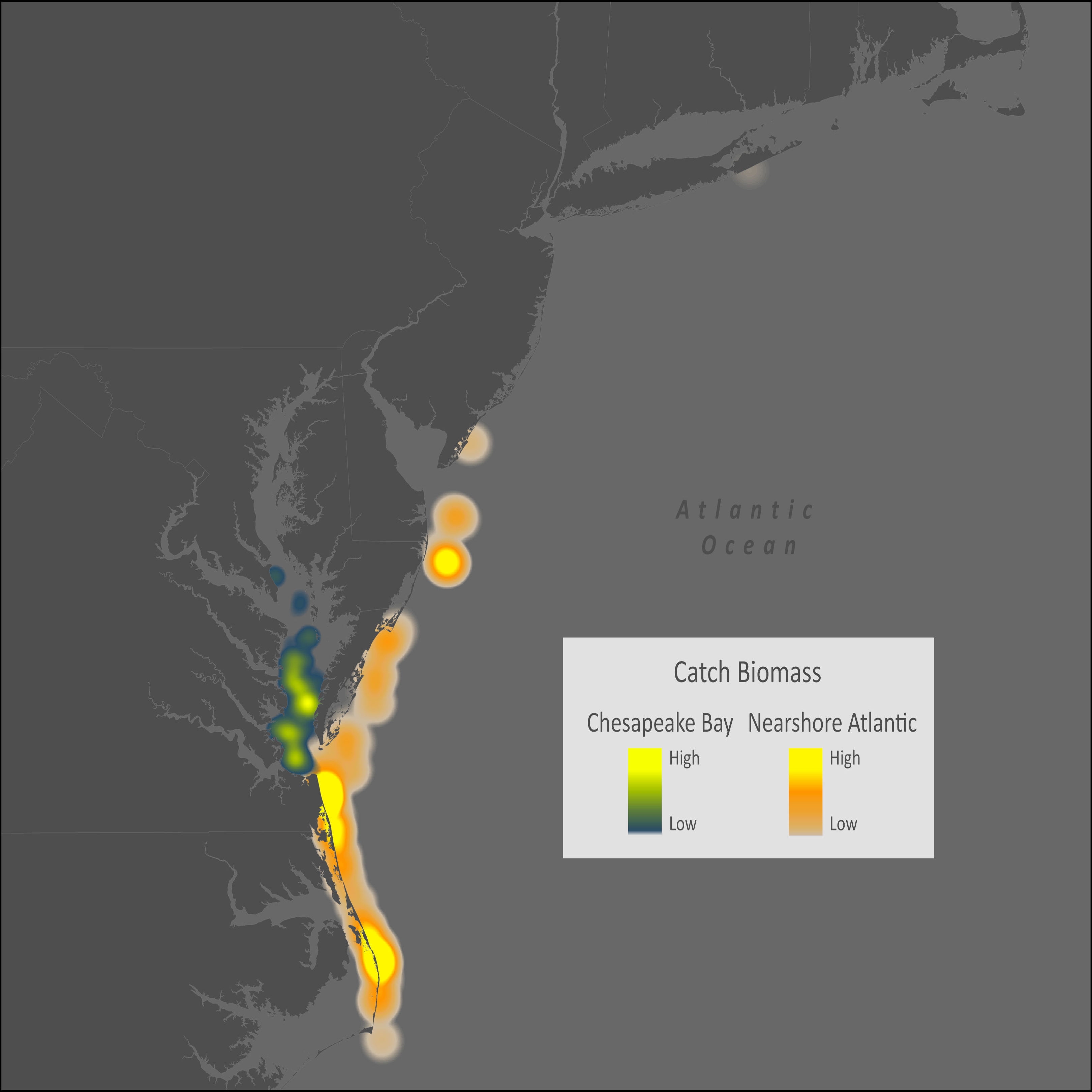 Atlantic Stingray Distribution