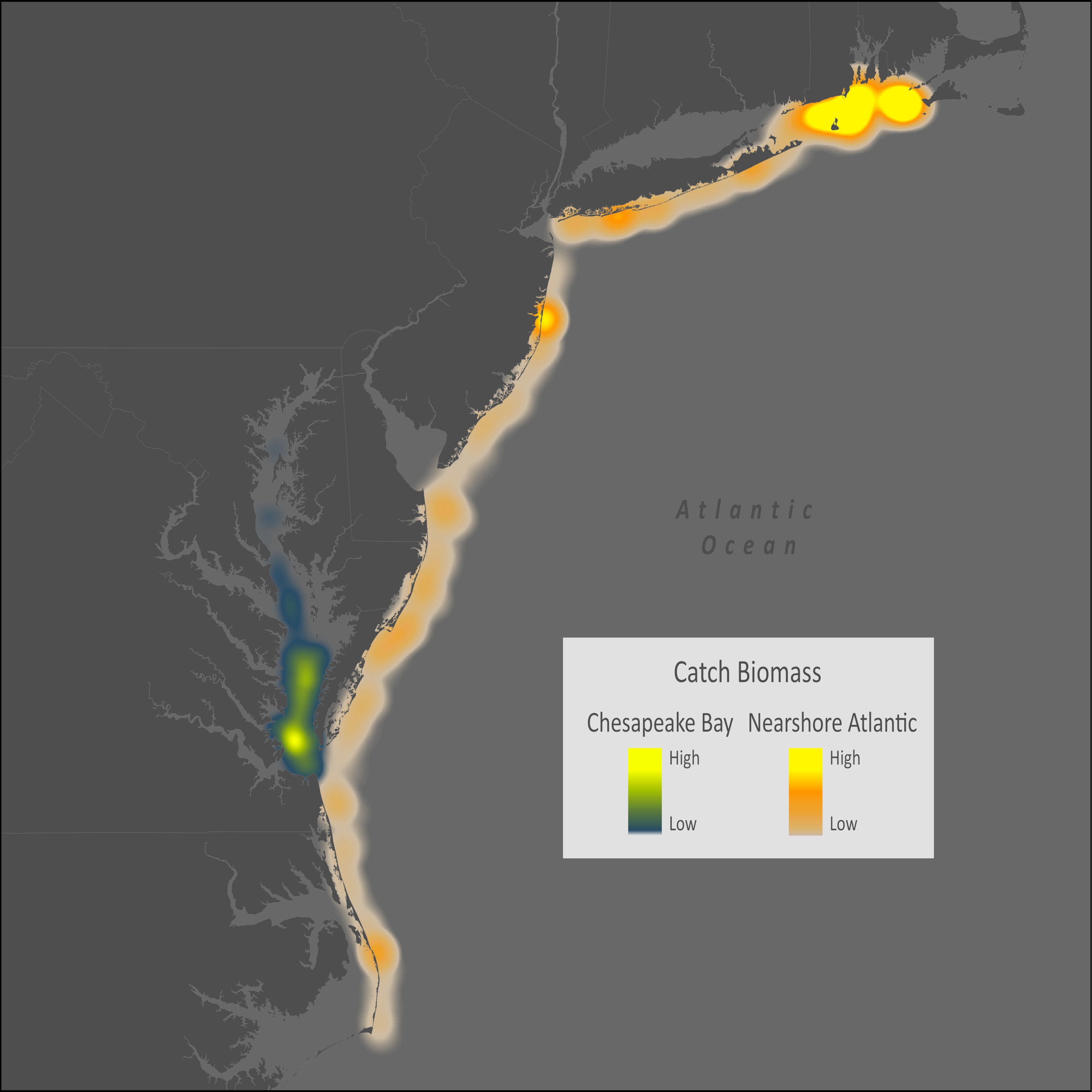 Butterfish Distribution