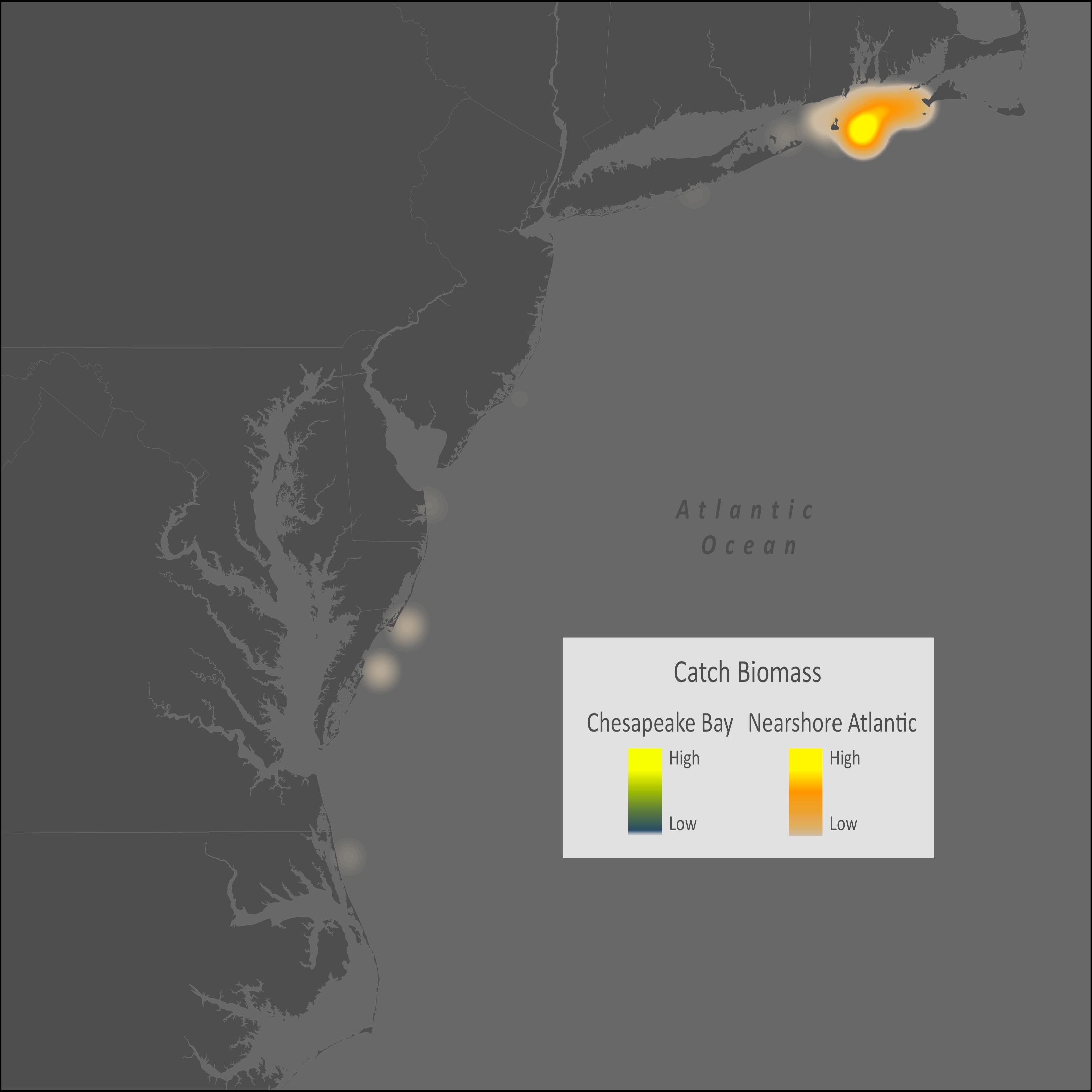 Gulf Stream Flounder Distribution