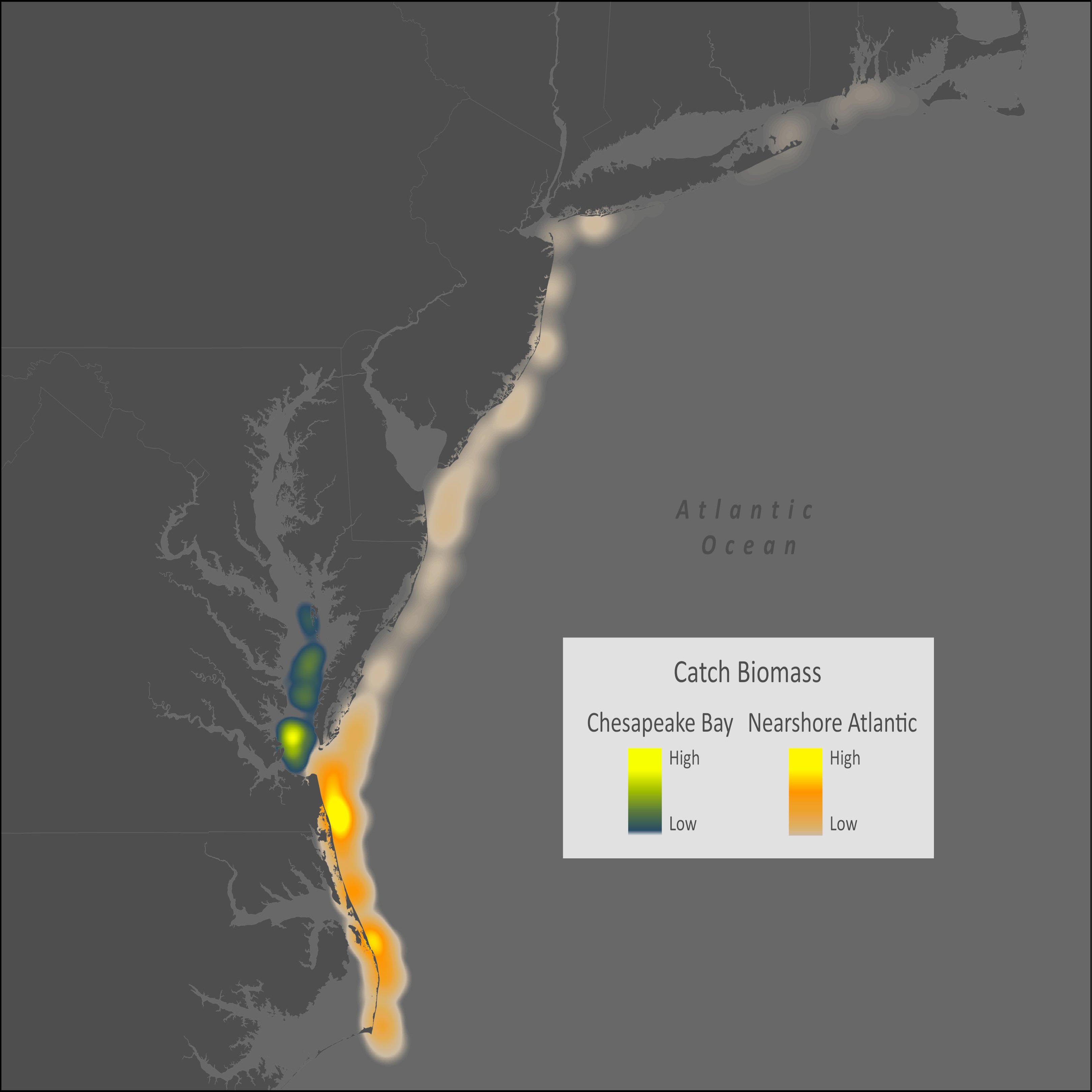 Inshore Lizardfish Distribution