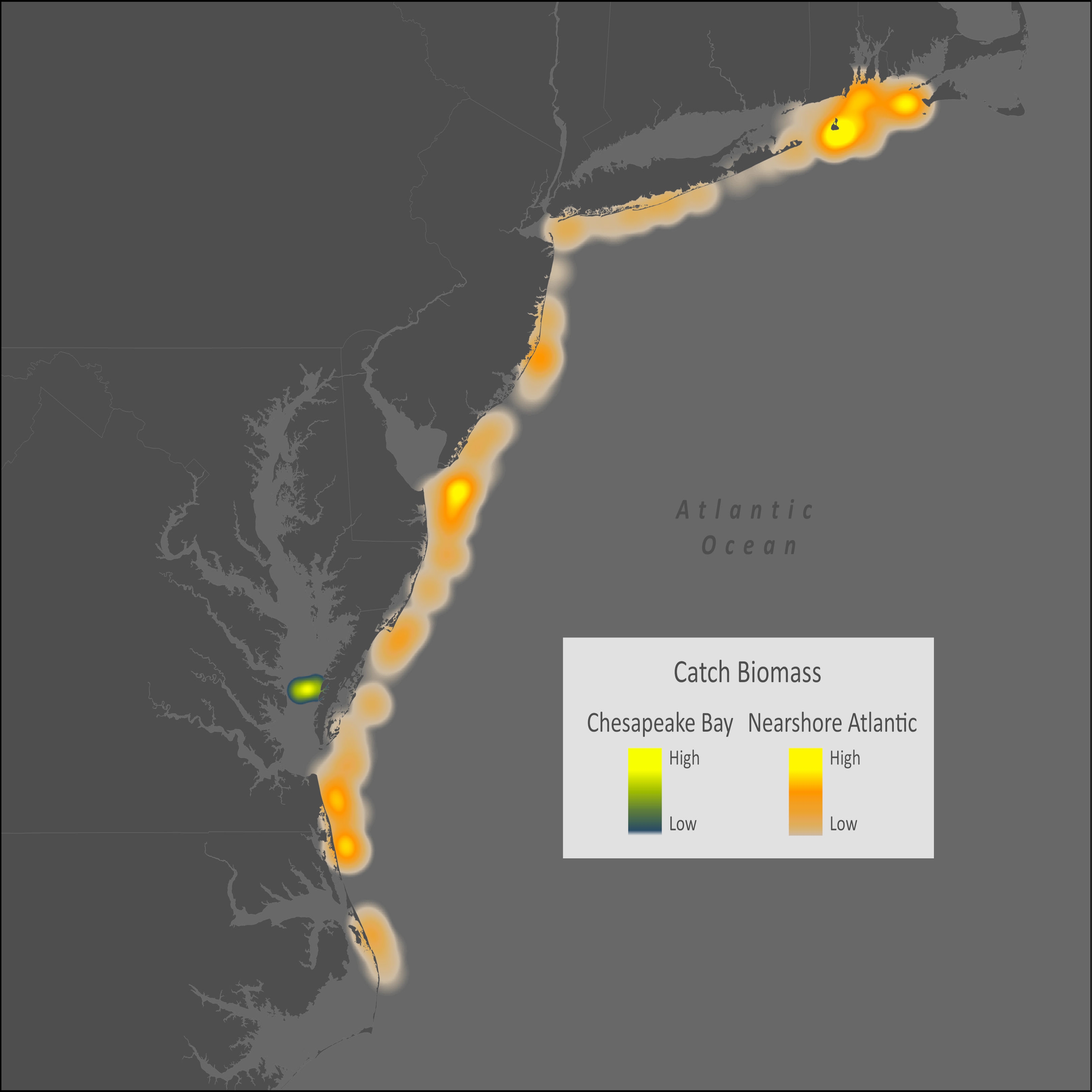 Monkfish Distribution