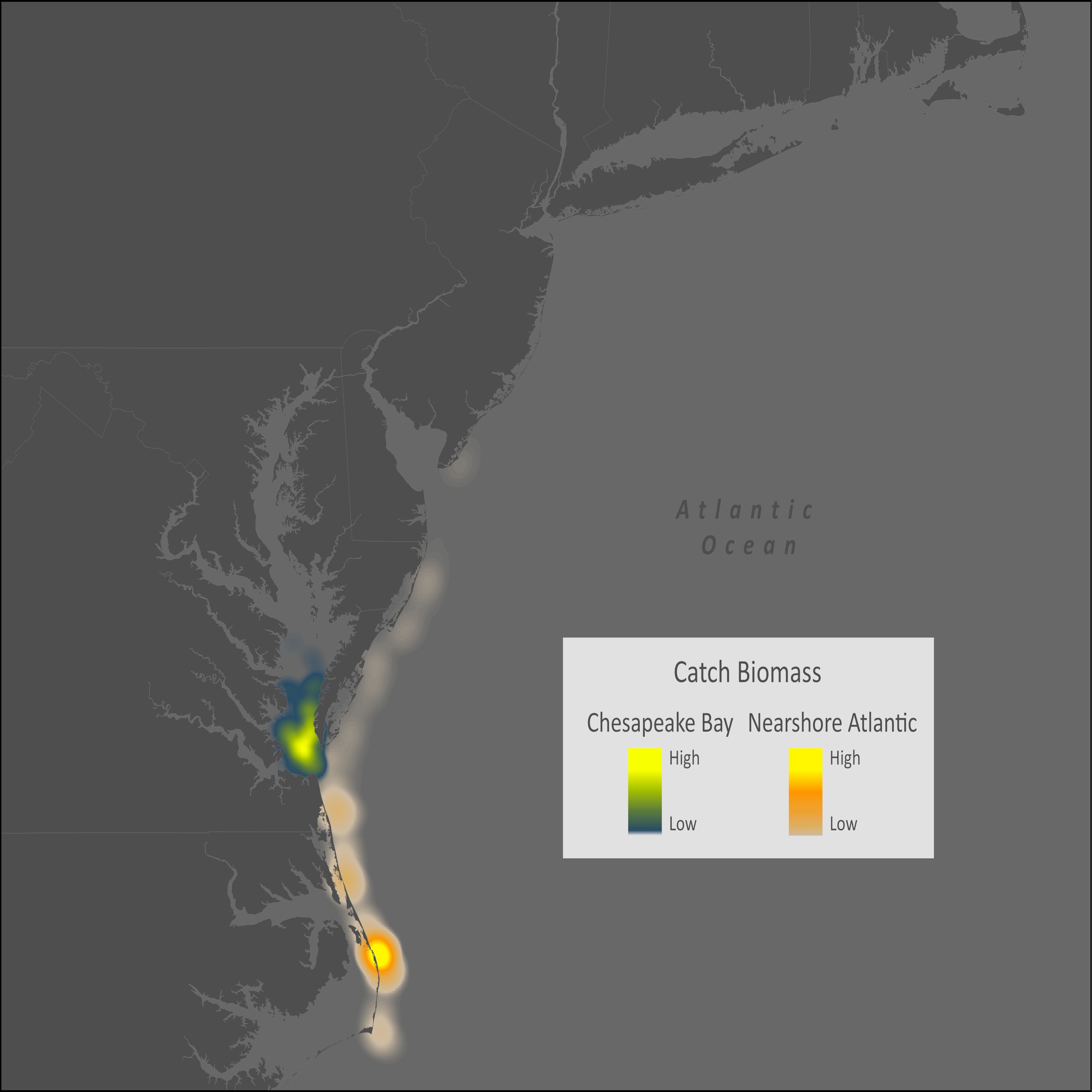 Pigfish Distribution