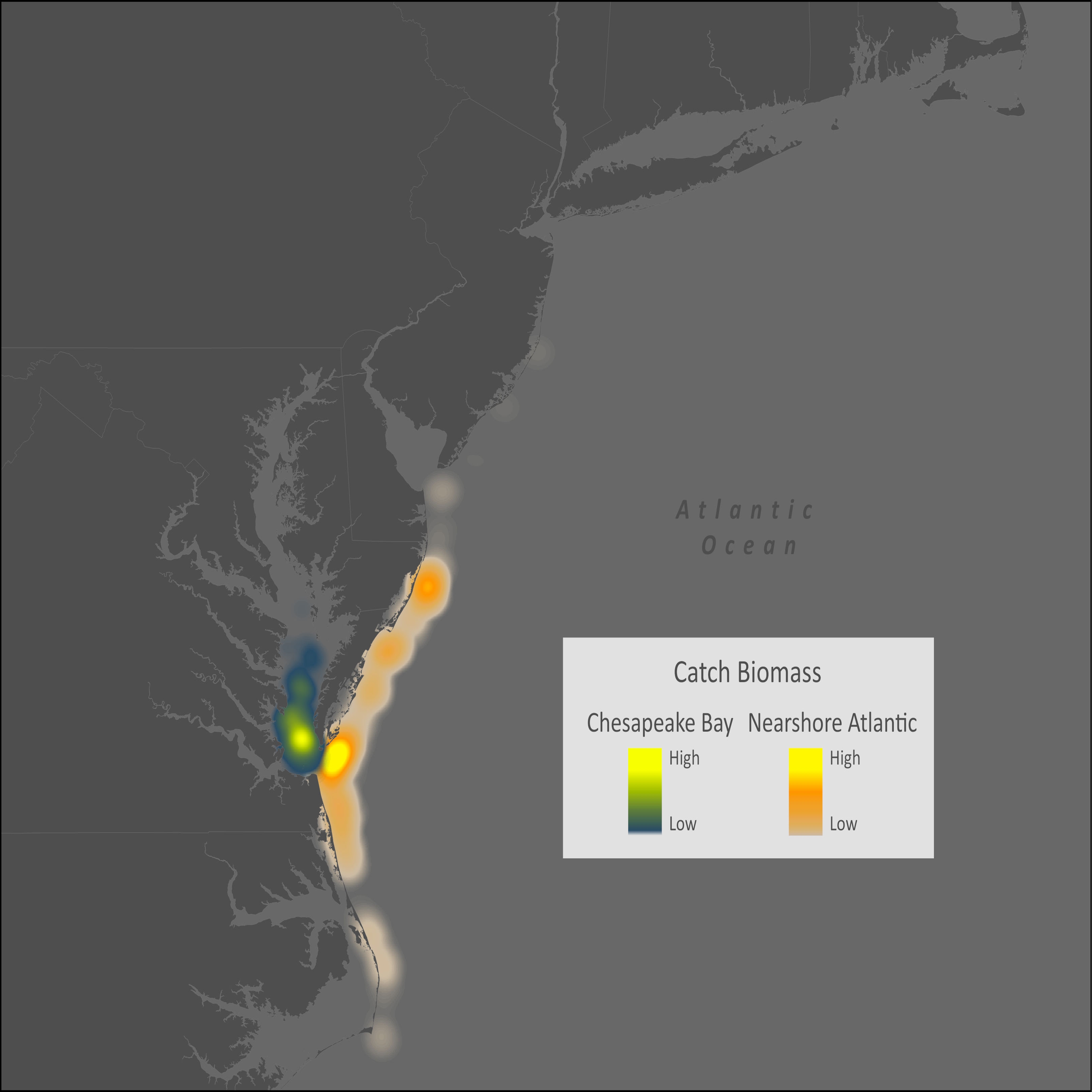 Sheepshead Distribution