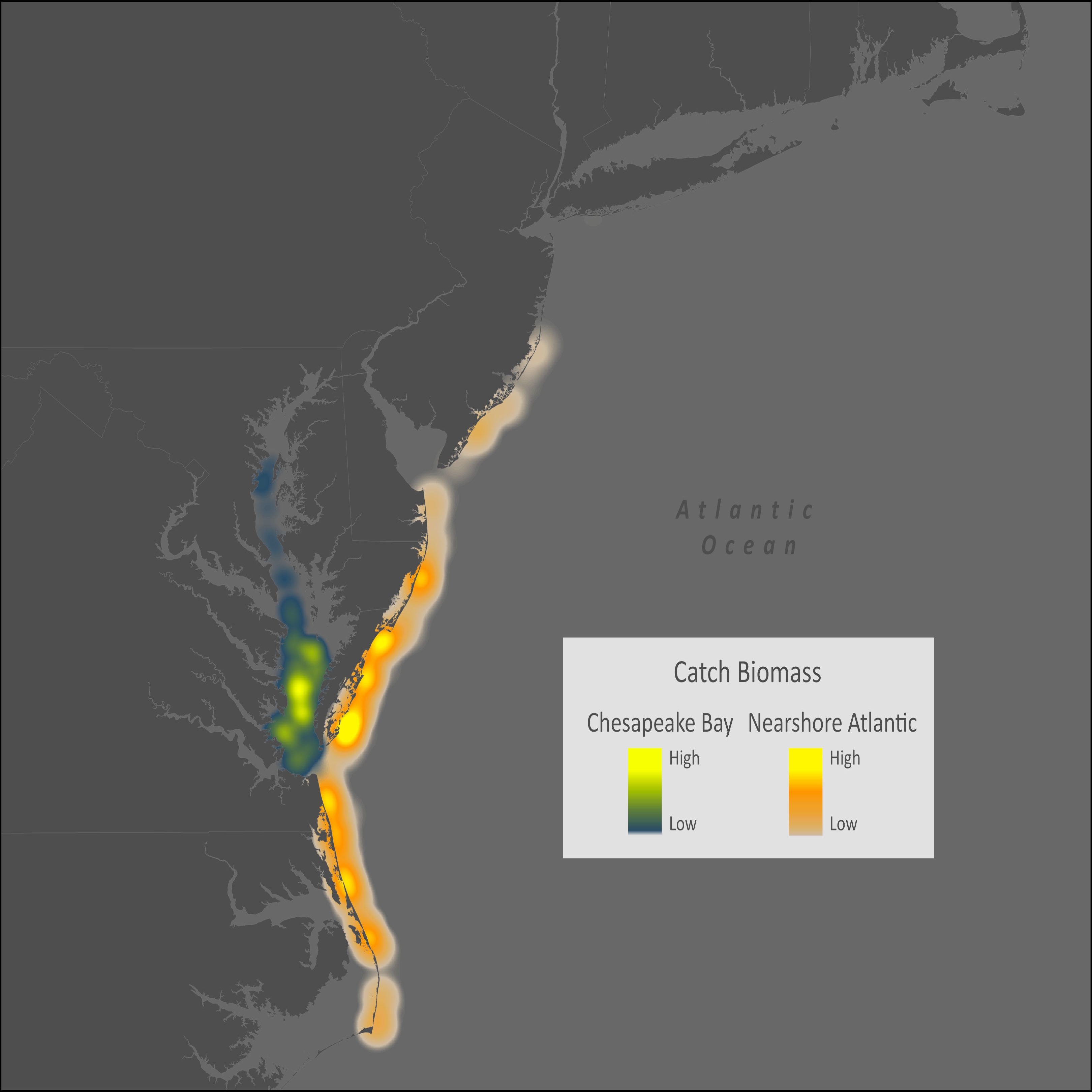 Silver Perch Distribution