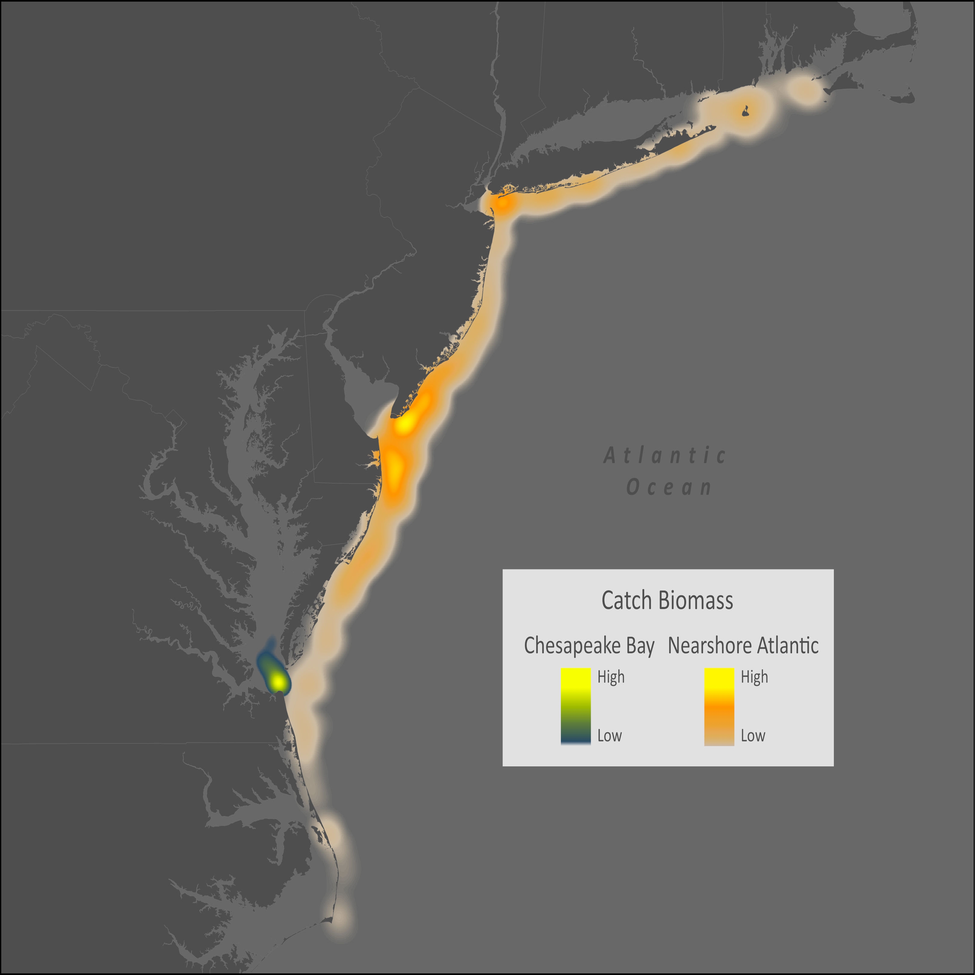 Smooth Dogfish Distribution