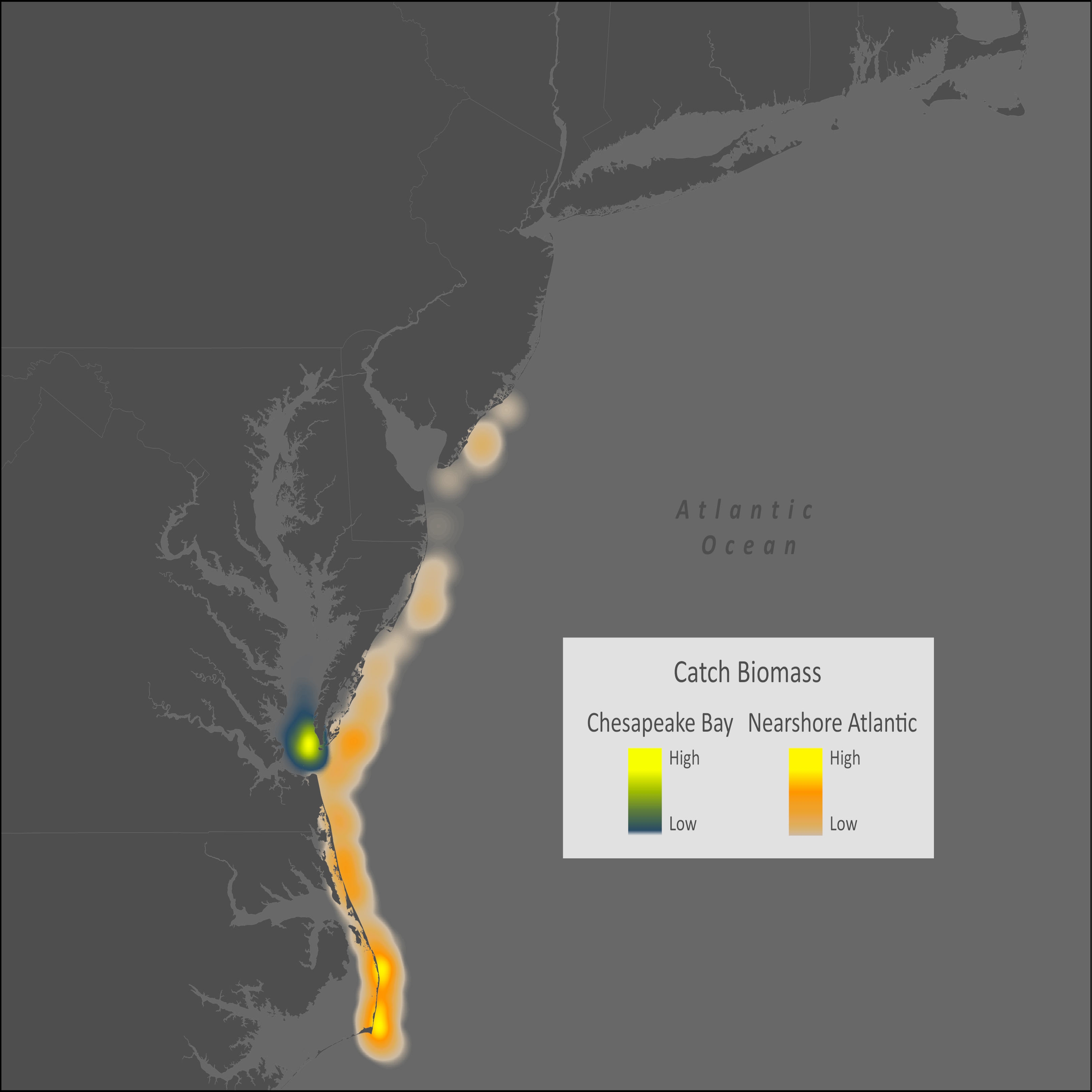 Spiny Butterfly Ray Distribution