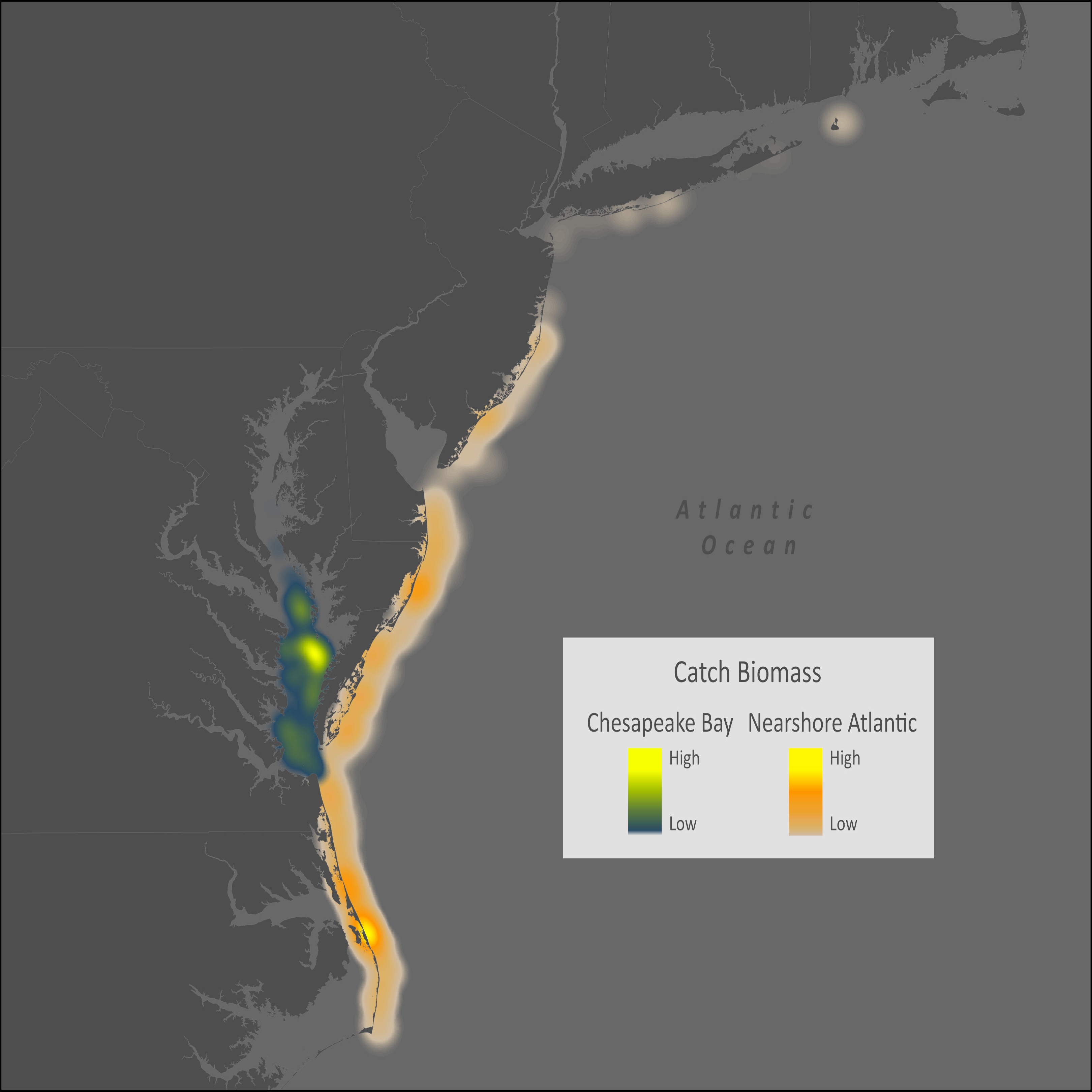 Striped Burrfish Distribution