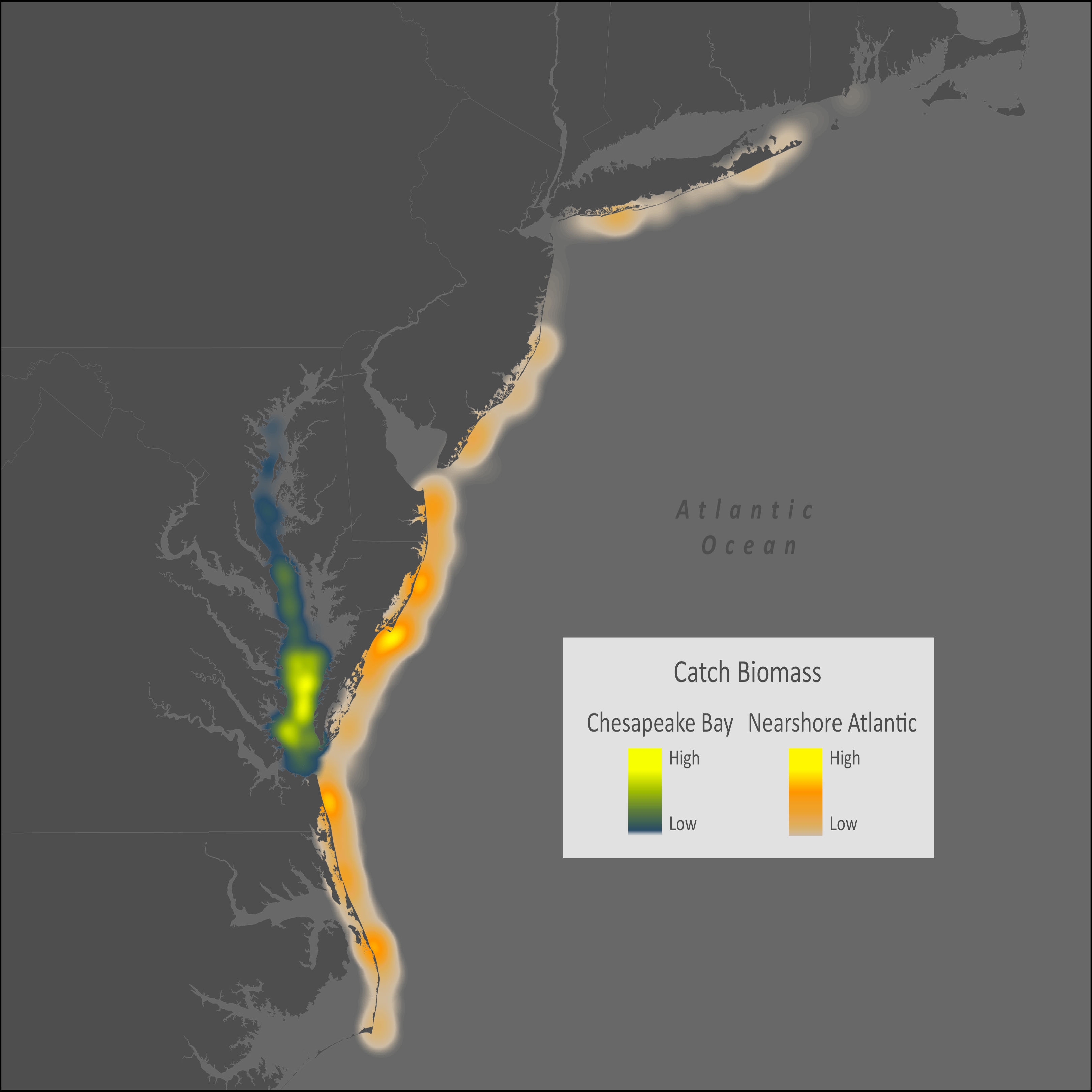 Weakfish Distribution