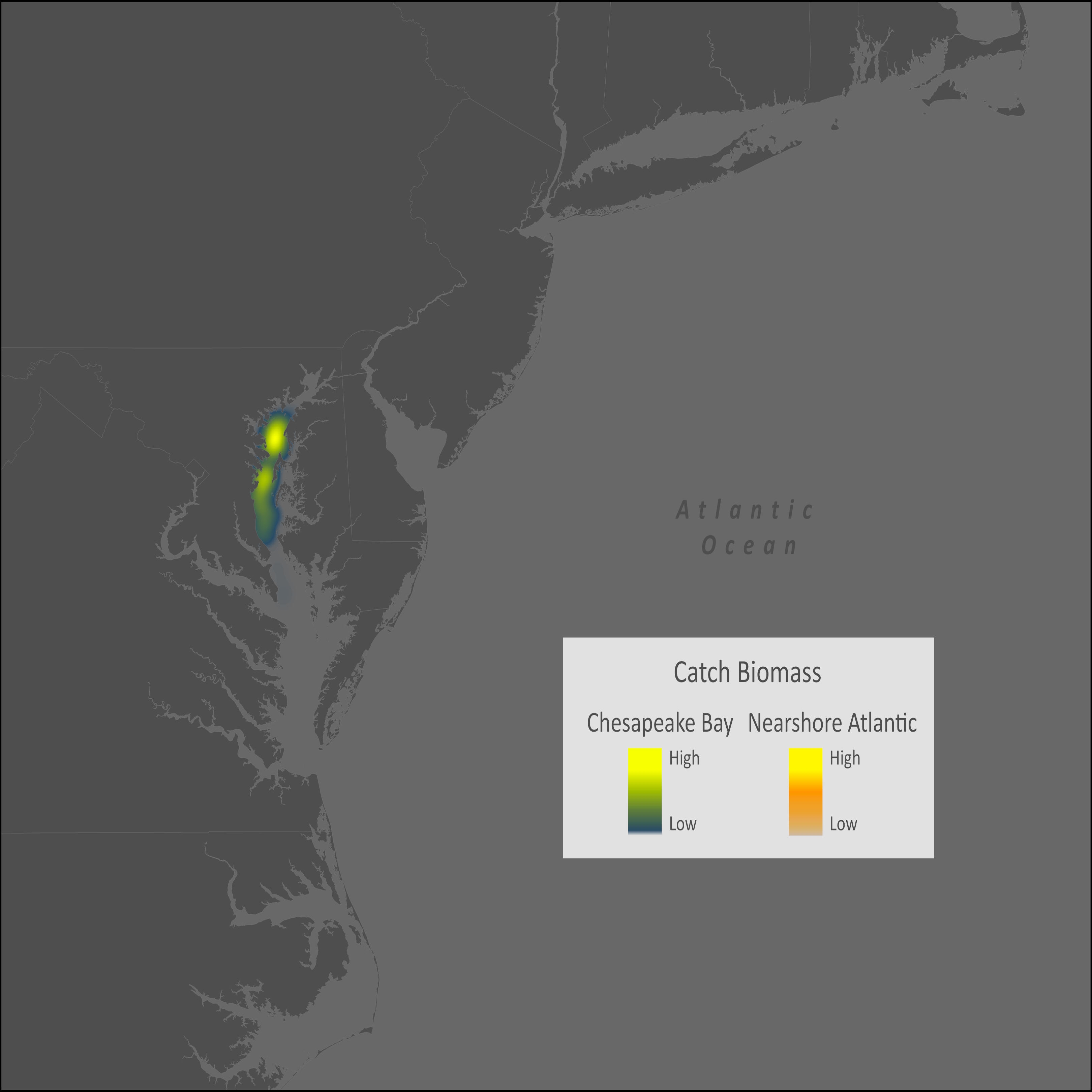 White Perch Distribution