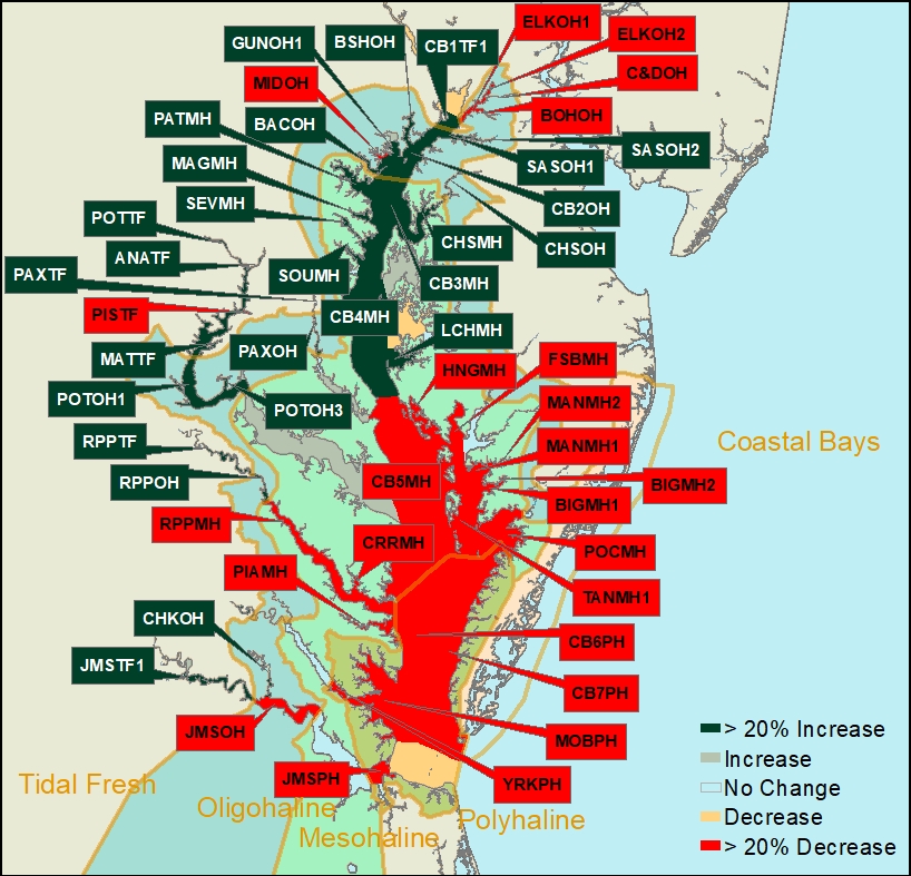 Segment Comparison by Salinity Zone