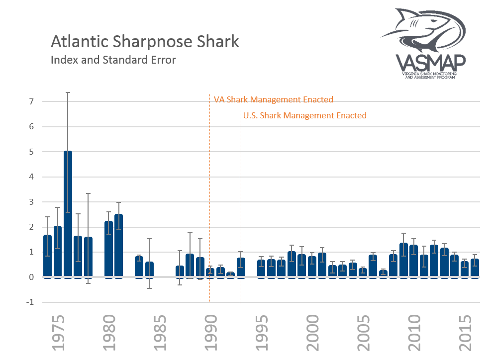 Atlantic Sharpnose Shark