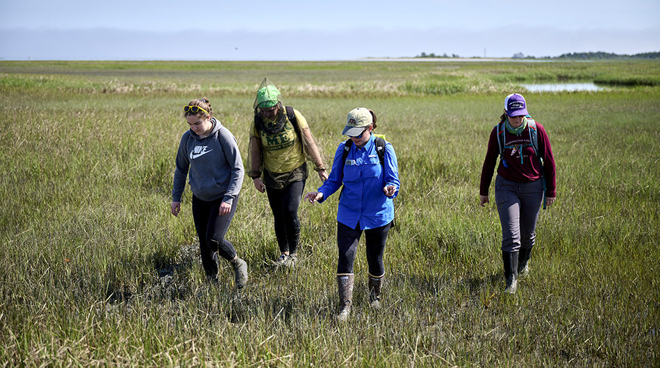 Stacy Krueger-Hadfield (middle, blue shirt), VIMS associate professor and ESL assistant director, is now the lead instructor for the field course. 